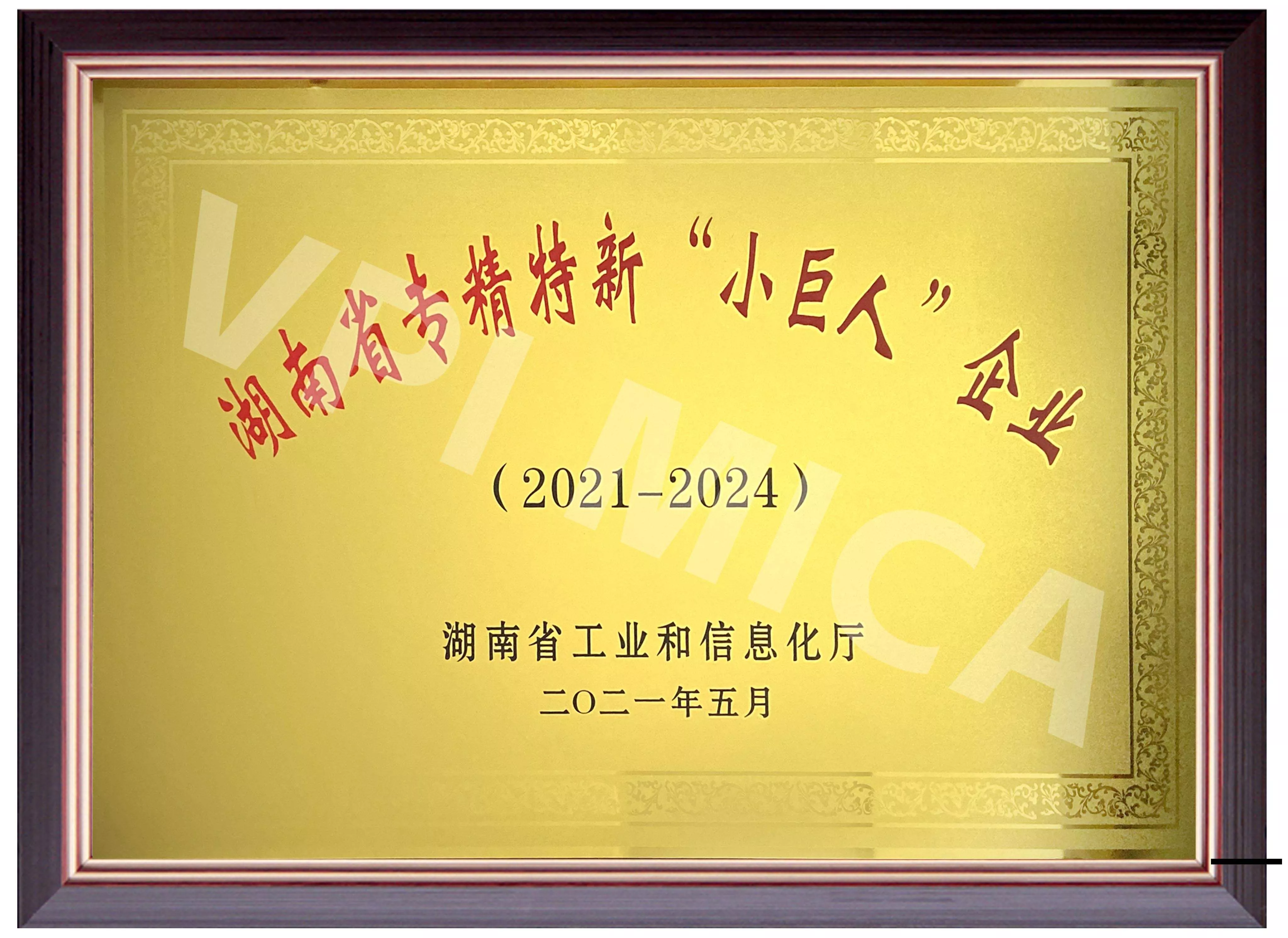 湖南省工业信息文化厅